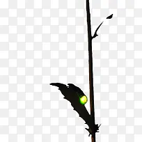 发光萤火虫-空若网 发光萤火虫-空若网