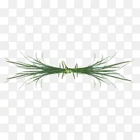 一捆草-空若网 一捆草-空若网