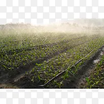 菜园蔬菜种植基地自动喷淋-空若网 菜园蔬菜种植基地自动喷淋-空若网