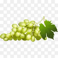 葡萄串-空若网 葡萄串-空若网