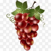 葡萄串-空若网 葡萄串-空若网
