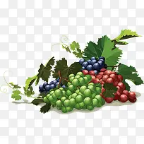 葡萄串-空若网 葡萄串-空若网