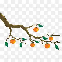 橙子树枝-空若网 橙子树枝-空若网