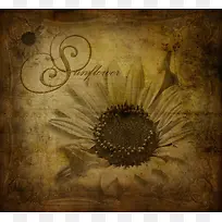 向日葵背景-空若网 向日葵背景-空若网