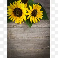 木板背景与向日葵-空若网 木板背景与向日葵-空若网