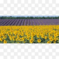 ±³¾°Í¼Æ¬-¿ÕÈôÍø ±³¾°Í¼Æ¬-¿ÕÈôÍø