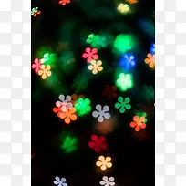 五叶草特效光-空若网 五叶草特效光-空若网