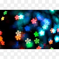 ��Ҷ����Ч��-������