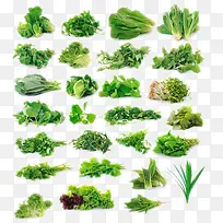 新鲜的绿色蔬菜-空若网 新鲜的绿色蔬菜-空若网