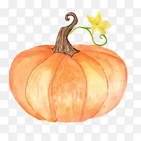 手绘水彩蔬菜南瓜-空若网 手绘水彩蔬菜南瓜-空若网