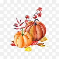 手绘水彩南瓜食物-空若网 手绘水彩南瓜食物-空若网