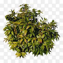 â����-������