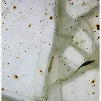 玻璃碎片背景-空若网 玻璃碎片背景-空若网