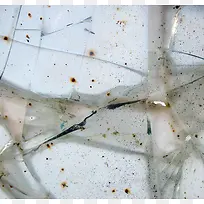 ������Ƭ���Ʊ���-������