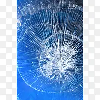 �����ѷ챳��-������