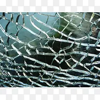 �������Ʊ���-������