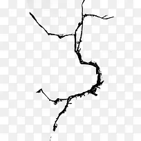 �����ķ�϶-������