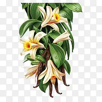 清新油画花朵插画-空若网 清新油画花朵插画-空若网