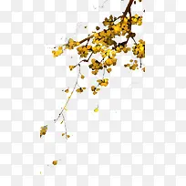 ��ɫҶ����֦-������