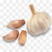 ´óËâɱ¾úÊß²Ë×ôÁÏÅä²Ë¸ßÇå-¿ÕÈôÍø ´óËâɱ¾úÊß²Ë×ôÁÏÅä²Ë¸ßÇå-¿ÕÈôÍø