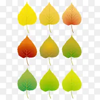 六色树叶-空若网 六色树叶-空若网