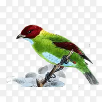 �ֻ��̴���-������