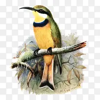 �ֻ��ȸ�廭-������