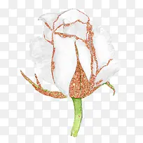 文艺卡通小清新装饰插画广告设计-空若网 文艺卡通小清新装饰插画广告设计-空若网