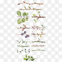 �����ֻ�ˮ����֦��Ҷ-������