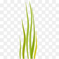 绿色海草矢量插画-空若网 绿色海草矢量插画-空若网