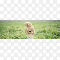 简约绿色清新可爱海报背景-空若网 简约绿色清新可爱海报背景-空若网