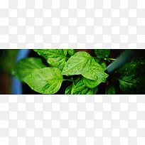 ��ɫ���º�������-������