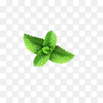 绿色清新小草-空若网 绿色清新小草-空若网