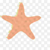 摄影夏日沙滩海底海星-空若网 摄影夏日沙滩海底海星-空若网