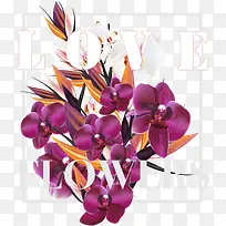 紫色蝴蝶兰爱情海报-空若网 紫色蝴蝶兰爱情海报-空若网