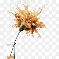 花朵-空若网 花朵-空若网