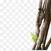 树木元素-空若网 树木元素-空若网
