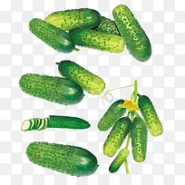 �ƹ����Ԫ��-������