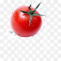 番茄-空若网 番茄-空若网
