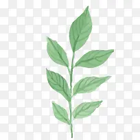 ˮ��ֲ��-������