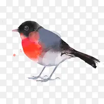 手绘水彩小鸟-空若网 手绘水彩小鸟-空若网