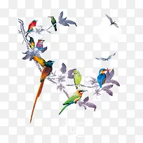 彩色鸟儿树枝-空若网 彩色鸟儿树枝-空若网
