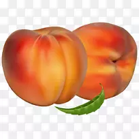 油桃果实-空若网 油桃果实-空若网