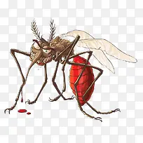 ��ͨ����-������