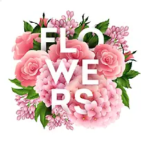 ����ˮ�ʻ���-������