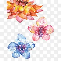 ���»����ز�-������