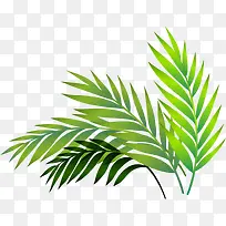 ���ⰻȻ��ɫС��-������