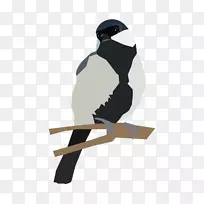 С����֦����ͼ�������С��֦-������