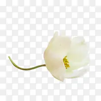 ��ɫ���»���-������