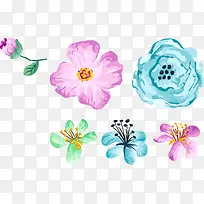 水彩花卉-空若网 水彩花卉-空若网